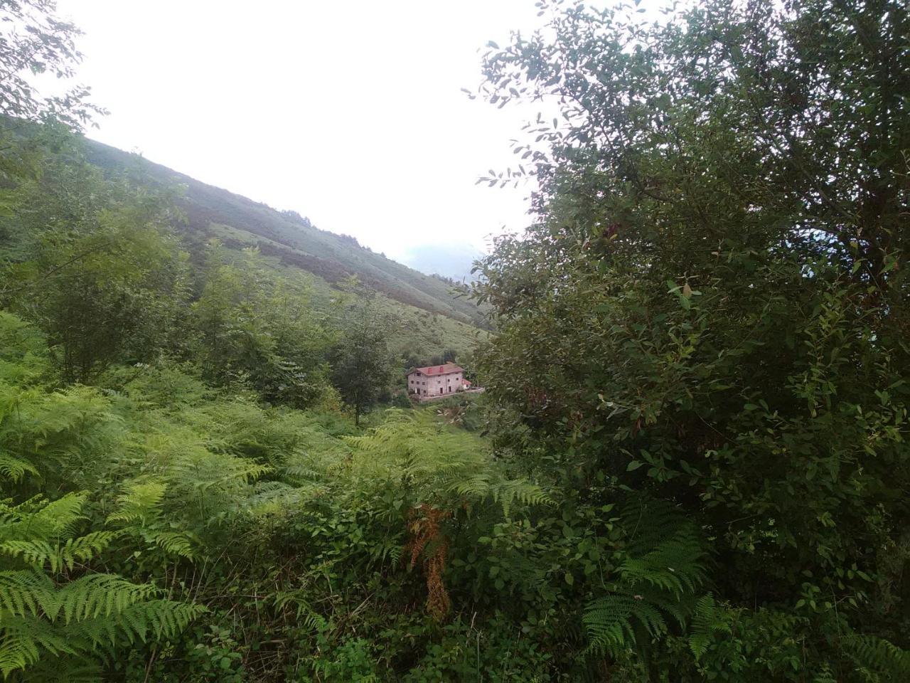 Casa Rural Haitzetxea Zugarramurdi Exterior photo